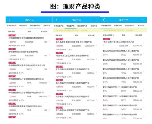 巨人国际理财：投资建议与风险提示