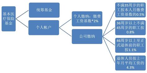 社保转移基金总额