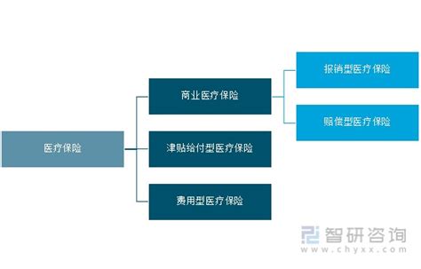 中国保险保障基金规模