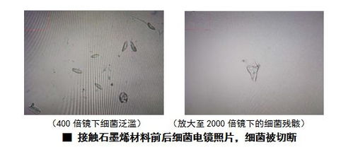 国内商品期货交易时间及规则